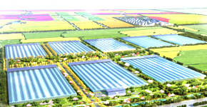 97������ҵ����