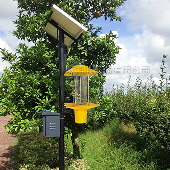 ̫����ɱ���