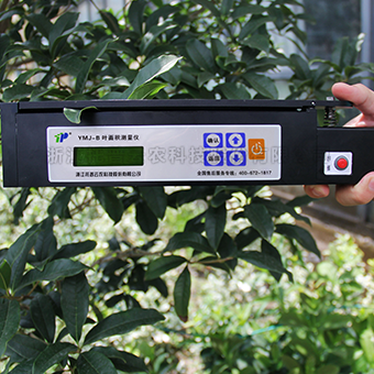 �ֳ�Ҷ�����