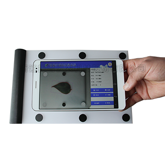 ����ҶƬ��̬������