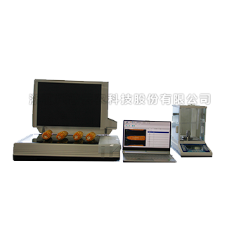 ���￼������ϵͳ