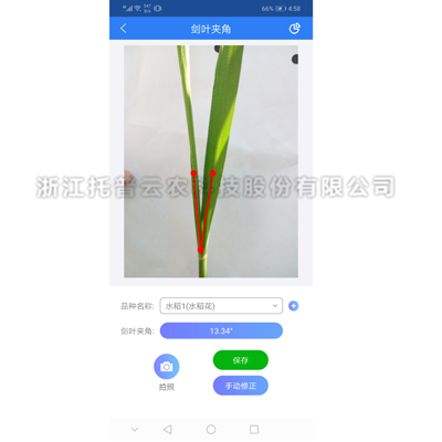 ����н�������