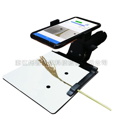 ����нǾ���������