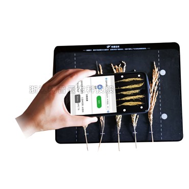 ������̬������TPDS-X-1