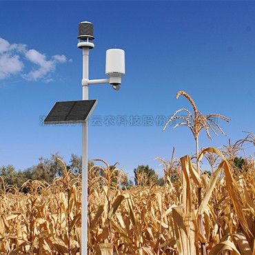 �Զ�������վ