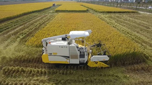 ���պ��ţ��������ֻ��߱�׼ũ���������Ϊ�����������Ƹ���