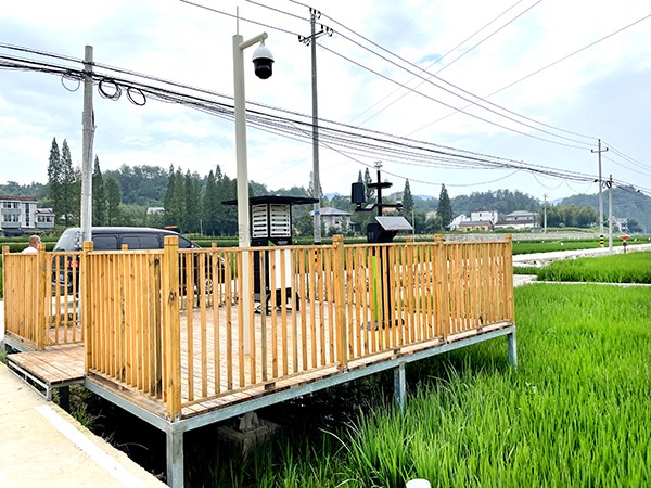 �㽭�ٰ������ֱ䵾���������ũ��ϲ����