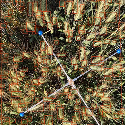 97���ʡ�(�й���)���޹�˾����