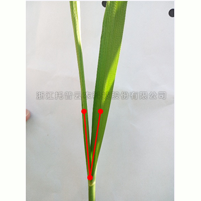 97���ʡ�(�й���)���޹�˾����