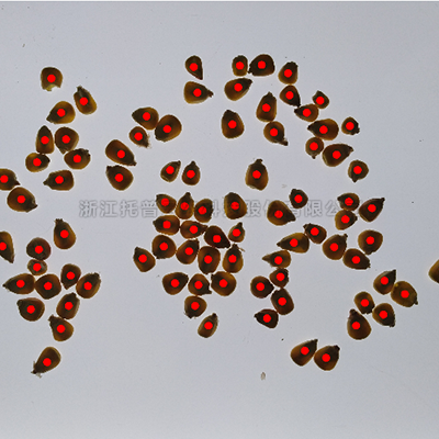 97���ʡ�(�й���)���޹�˾����