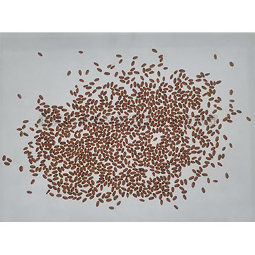 97���ʡ�(�й���)���޹�˾����