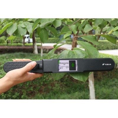 ����Ҷ���������