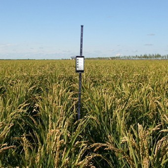 ֲ����������� 