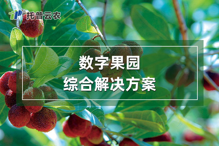 ���ֹ�԰�ۺϽ���ƻ�