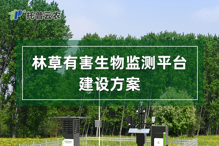 �ֲ��к�������ƽ̨����ƻ�