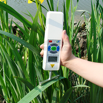 ����ǿ��������|����ǿ�Ȳⶨ�ǹ�Ч���