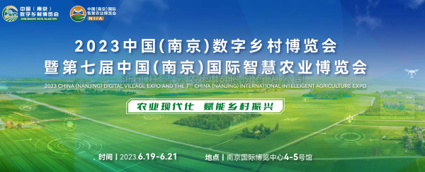 �������������������� | 97��������2023�й����Ͼ�����������չ����