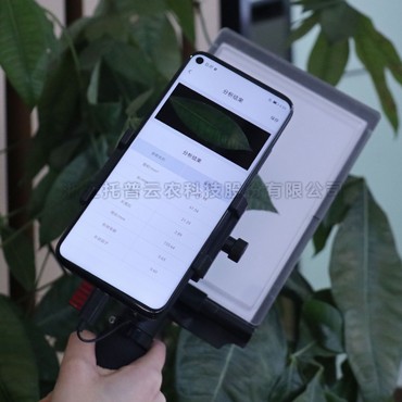 ֲ��Ҷ����ĲⶨҪ��