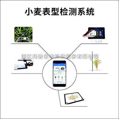 С����ͼ��ϵͳ��רҵ��С����ͼ������