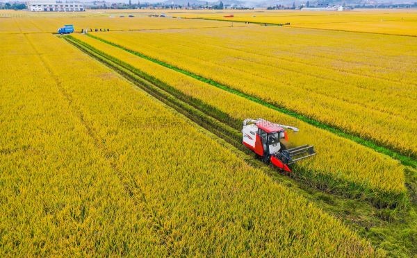 ��������|�����ڸ߱�׼ũ�ｨ���϶�����ʲô��������������