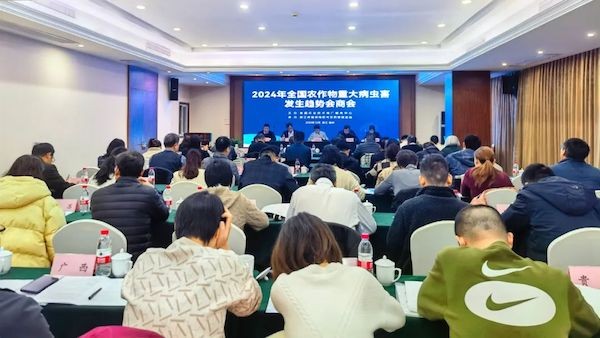 ����ũ�����ش󲡳溦��������̸�л��ٿ�����������97����Ϊ����ֲ�������ṩ��˼��