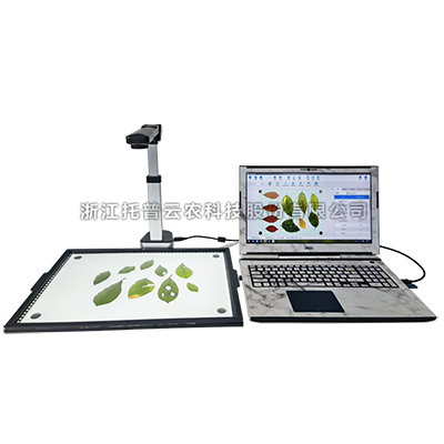 ����ʽҶ���������|����ʽҶ����������������