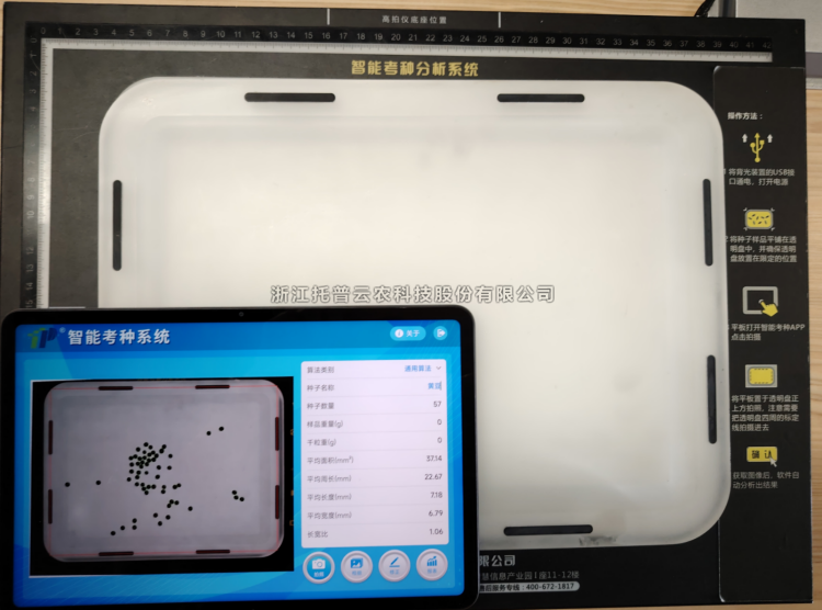 �Զ�������������ϸ����