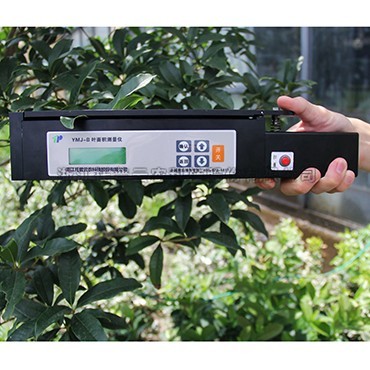 ����Ҷ����ⶨ������|����Ҷ��������ǹ�Ч���