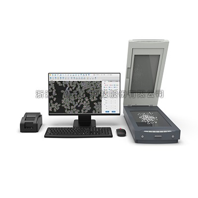 һ����ʶ�������Ʒ����������ʲô��������������