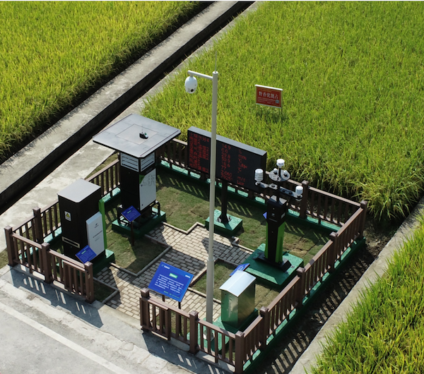 ����߱�׼ũ�����������������ũҵ��ɫ��Ч����