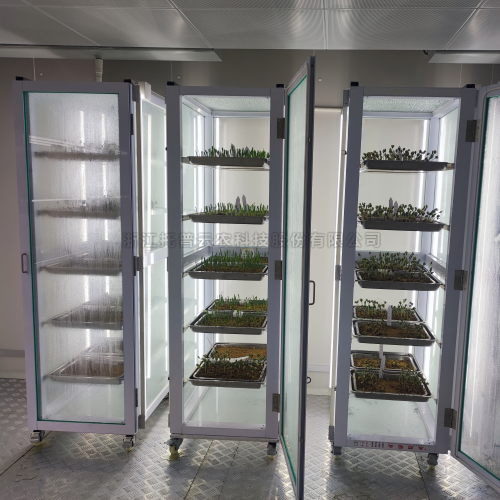 ���ӳ�ѿ�� /