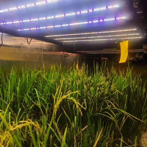 ���ּӴ��� /