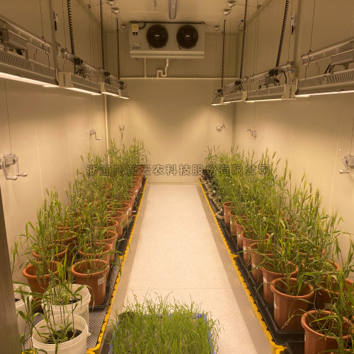 ֲ������������뽨��ƻ���2024�棩