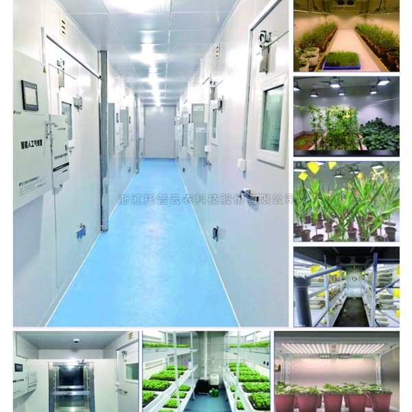 �˹���������������|�˹����������ҵ��������