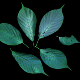 97���ʡ�(�й���)���޹�˾����