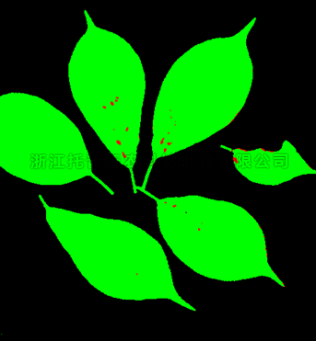 97���ʡ�(�й���)���޹�˾����