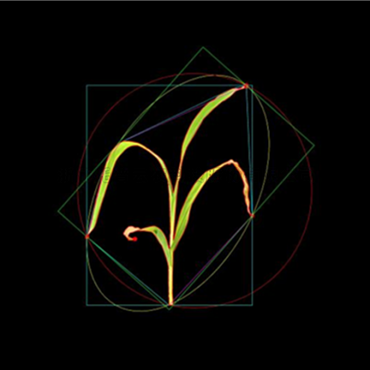 ���� ��ά