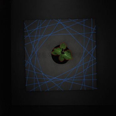 �������� ��ά