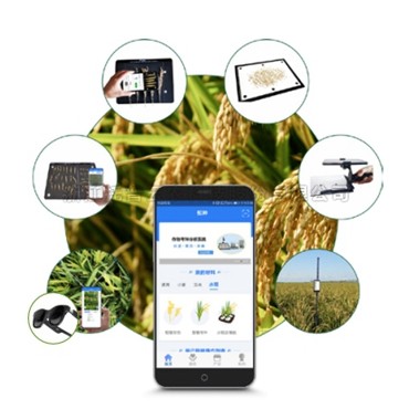 ˮ�����ͼ����