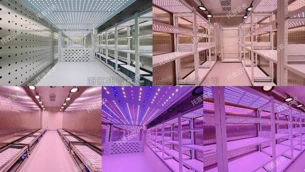 ���첻ֹ����������������δ����97�����˹���������ȫ����