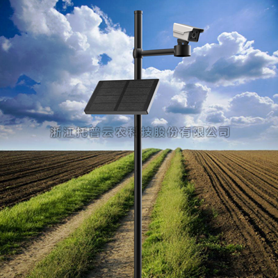 һ��������������վ��ʲô������������