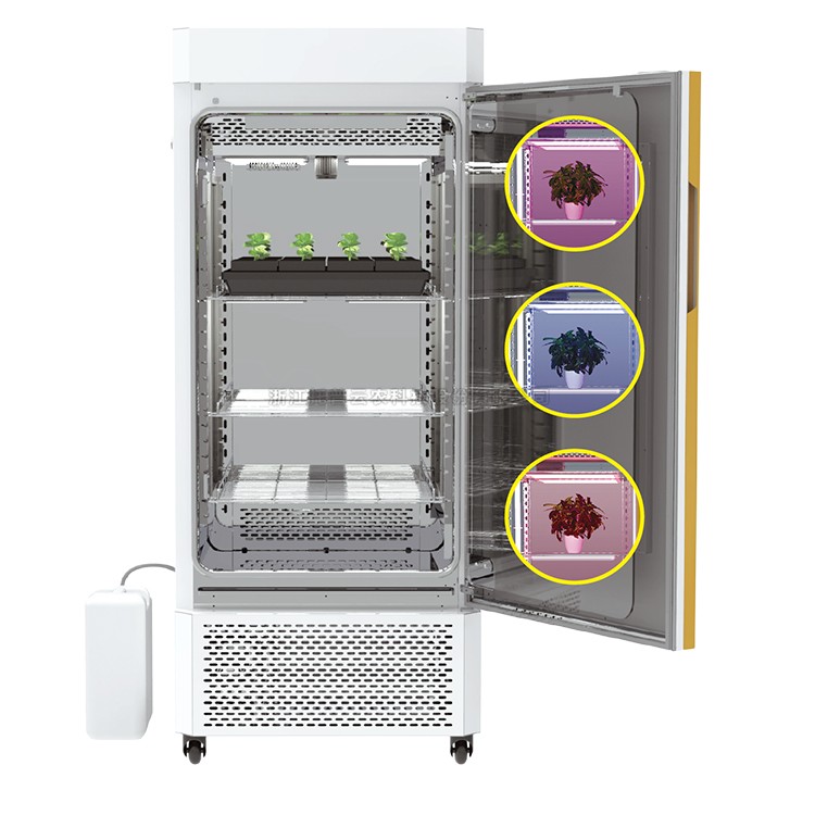 97���ʡ�(�й���)���޹�˾����