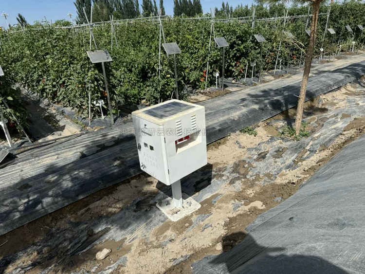 97���ʡ�(�й���)���޹�˾����