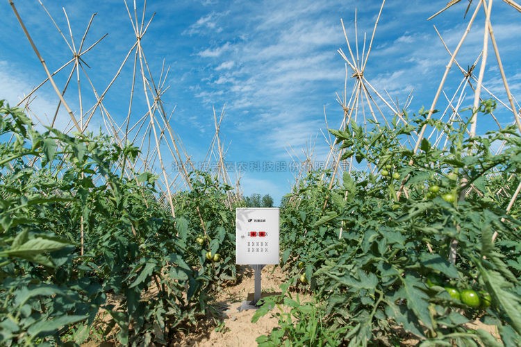 97���ʡ�(�й���)���޹�˾����