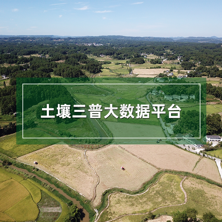 �������մ�����ƽ̨