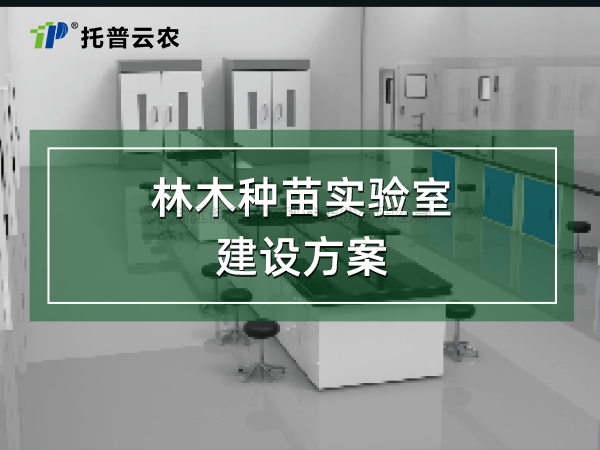 ��ľ����ʵ���ҽ���ƻ�