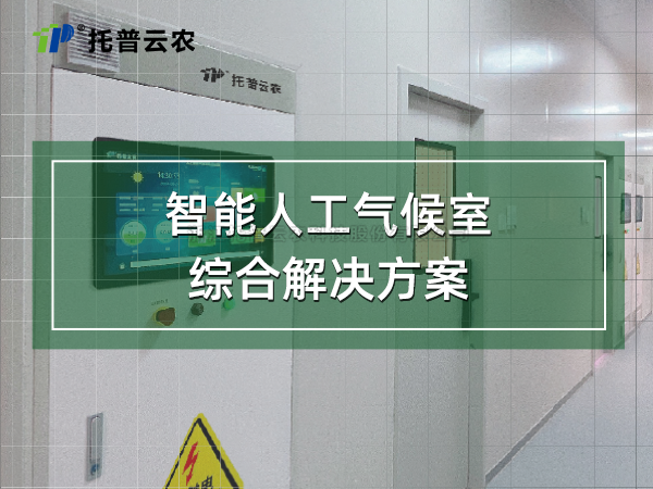 ��ǿ�˹��������ۺϽ���ƻ�