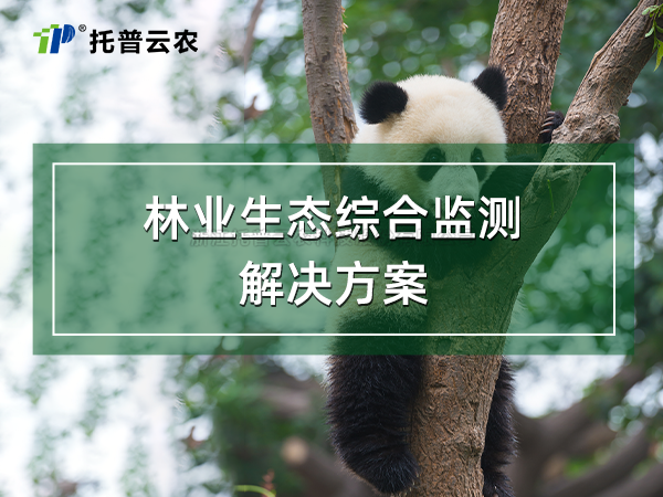 ��ҵ��̬�ۺϼ�����ƻ�