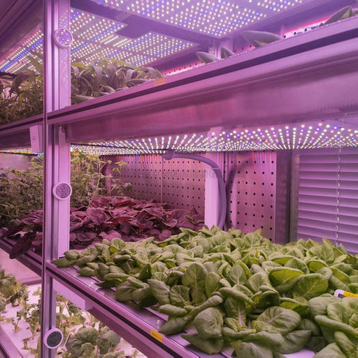 97���ʡ�(�й���)���޹�˾����