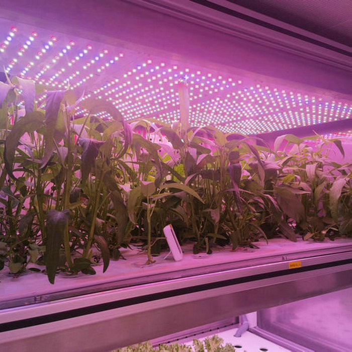 97���ʡ�(�й���)���޹�˾����